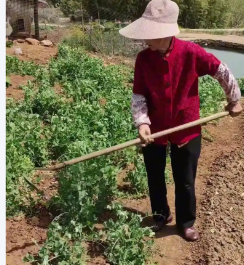 劳动后肌肉痛怎么办？